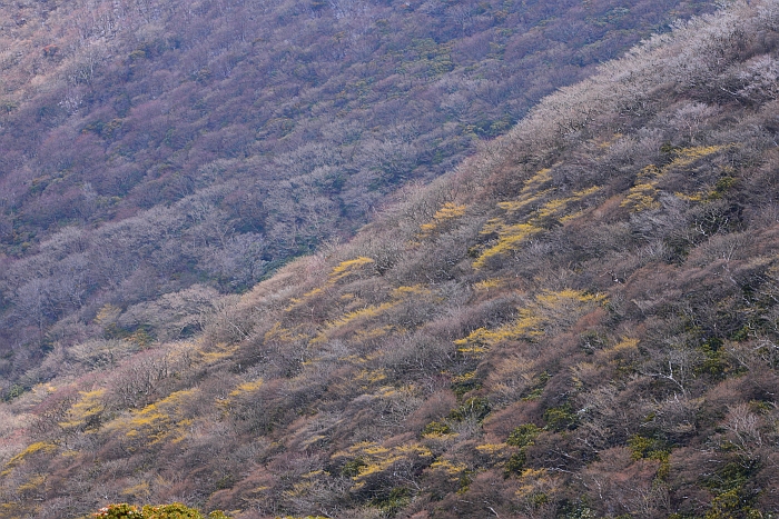 e0013365_13231821.jpg