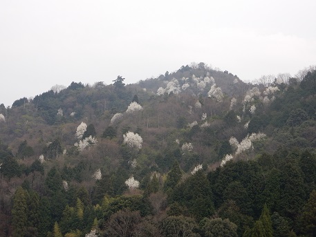 e0175370_831957.jpg