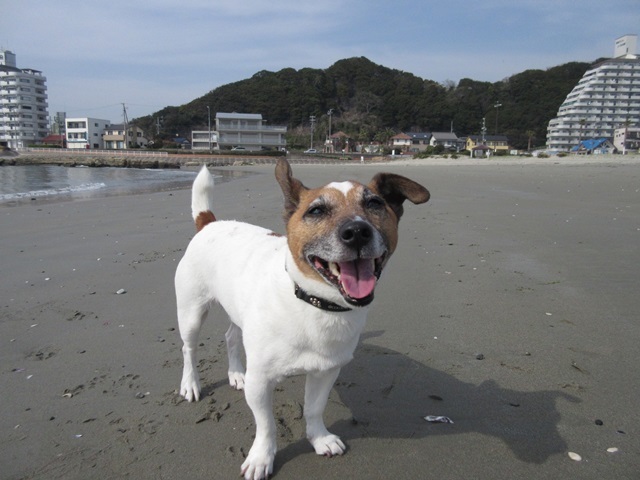 f0100871_15054956.jpg