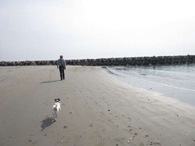 f0100871_15063326.jpg