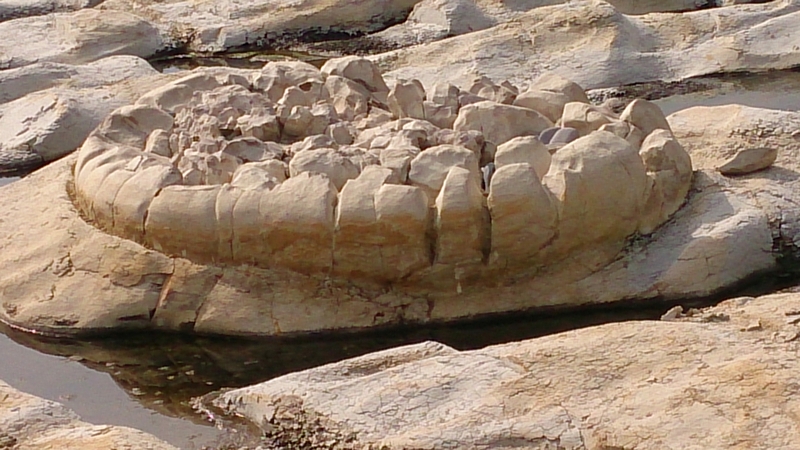 d0132880_22415031.jpg