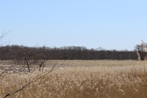 e0197884_21402290.jpg