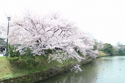 d0156186_22335288.jpg