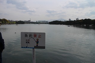 d0156186_23295125.jpg