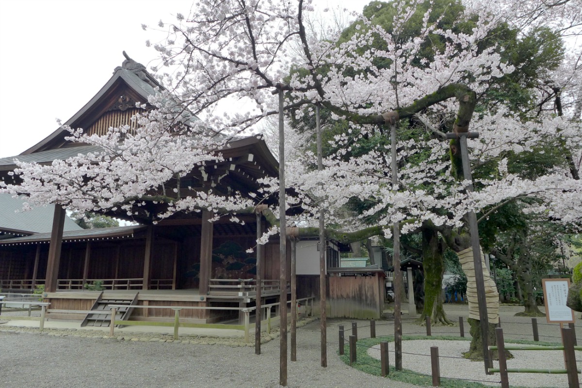 a0127090_94571.jpg