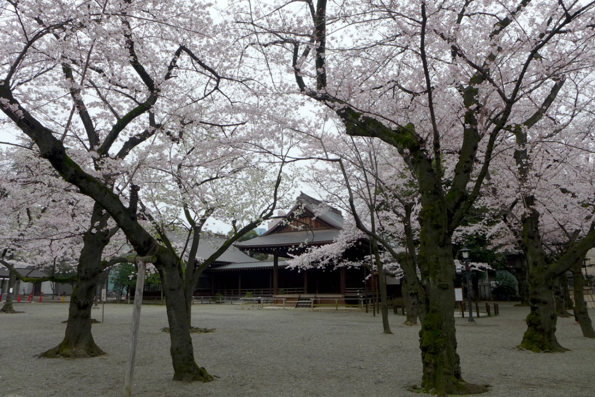 a0127090_9461326.jpg
