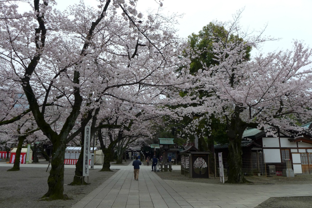 a0127090_9461878.jpg