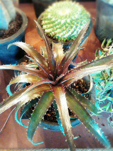 a0183790_09281916.jpg
