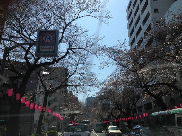 d0050290_0151782.jpg