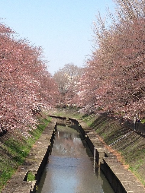 d0050290_0163345.jpg