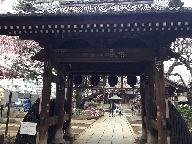d0050290_0242069.jpg