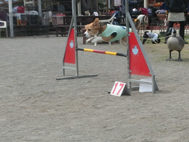 a0319693_22334369.jpg