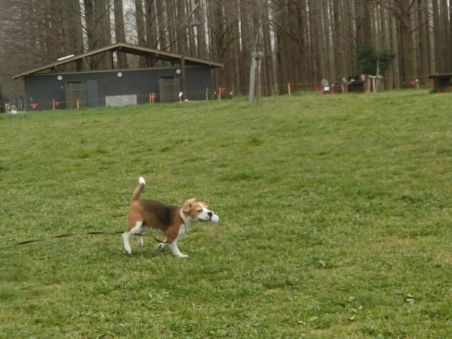 a0319693_22415150.jpg