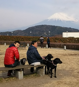 d0282395_8341688.png