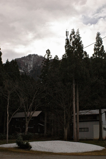 a0061599_812711.jpg