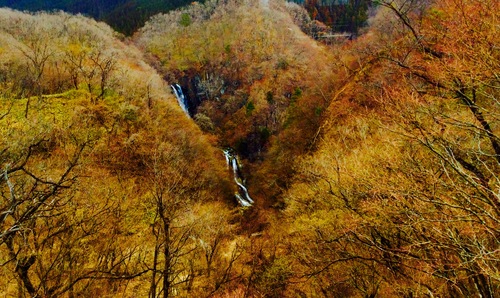 c0202101_0113935.jpg