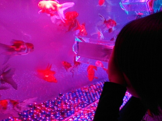 a0216805_10042260.jpg