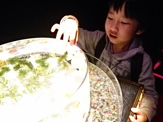 a0216805_10042410.jpg