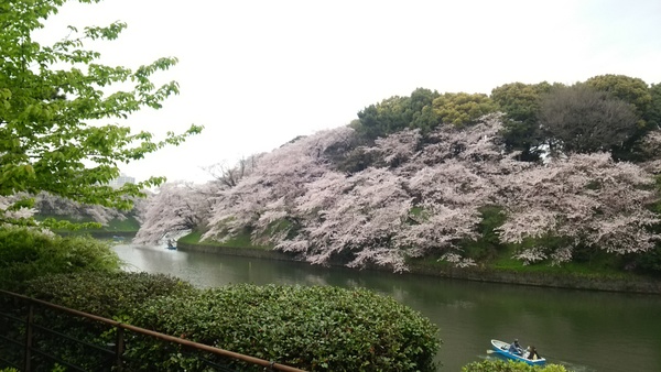 f0231709_15135253.jpg