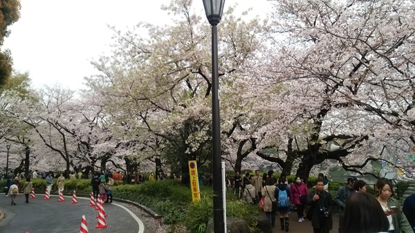 f0231709_15152138.jpg