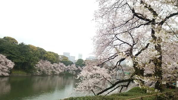 f0231709_1515492.jpg