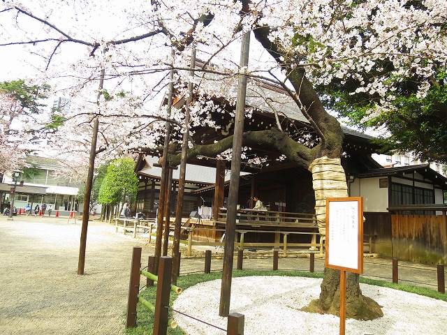 e0121110_22441788.jpg