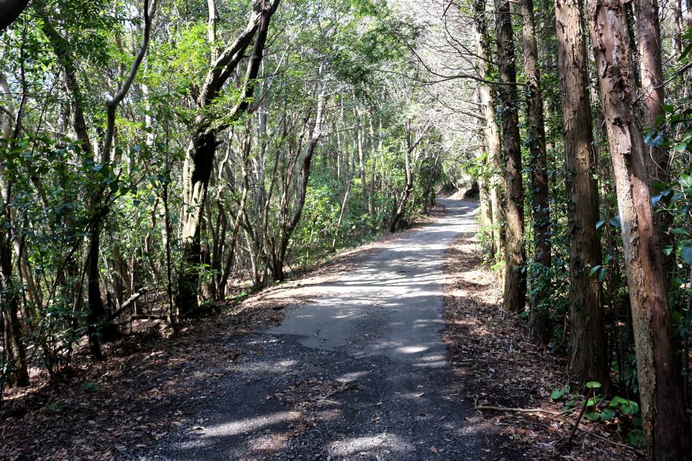 f0212511_23172756.jpg