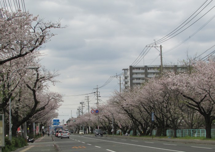 f0139520_21114590.jpg