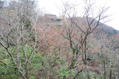 b0309623_14182400.jpg