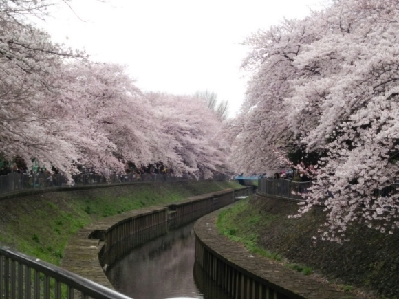 f0106823_14242264.jpg