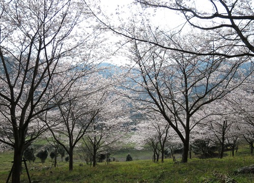 b0202125_18162325.jpg