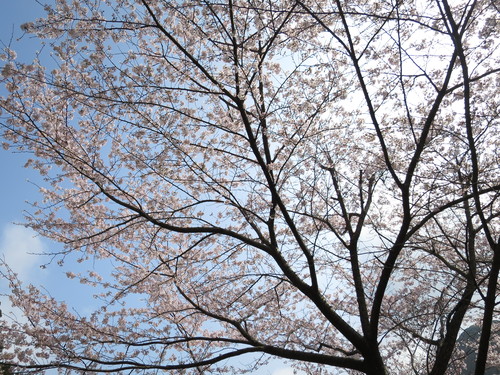 b0202125_18165295.jpg