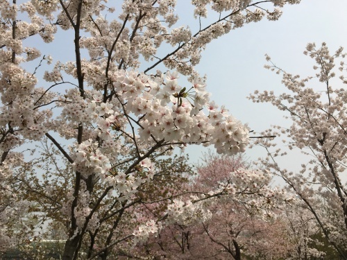b0132630_21560754.jpeg