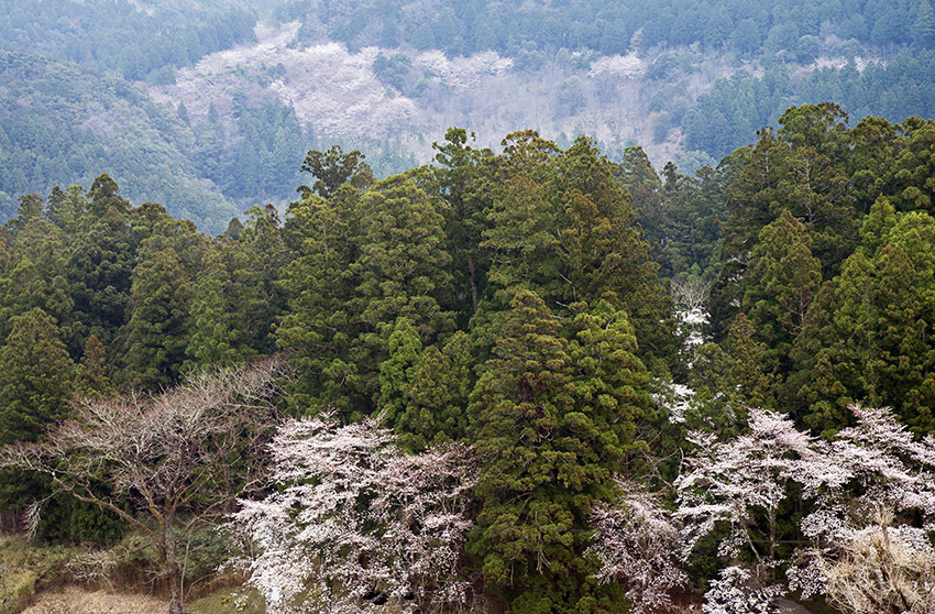 d0147530_08221279.jpg