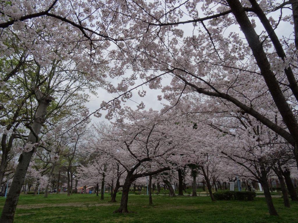 f0088231_15501600.jpg