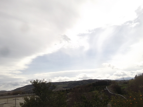 b0137932_16542384.jpg