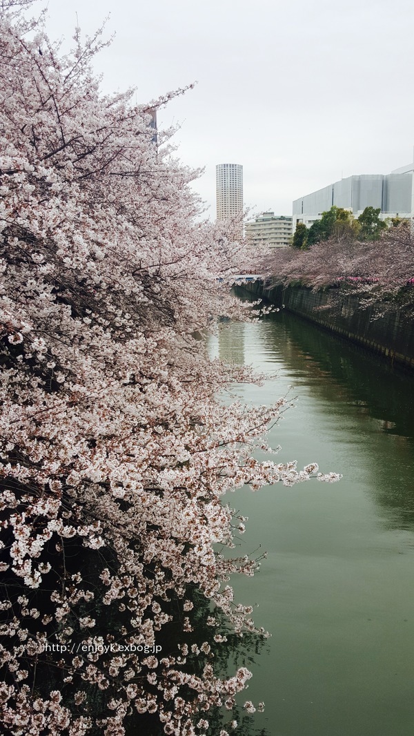 d0269832_09424559.jpeg