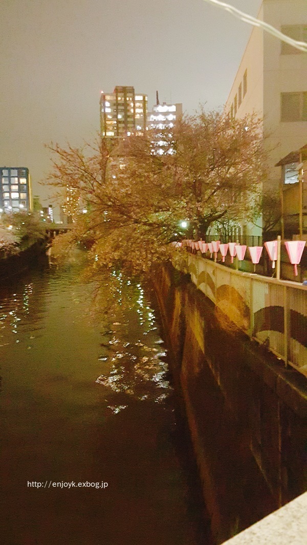 d0269832_09431069.jpeg
