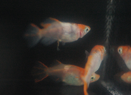 e0097534_16402020.jpg