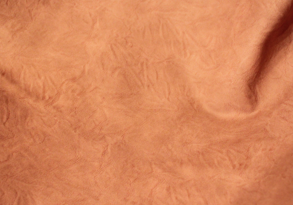 f0007636_2354623.jpg