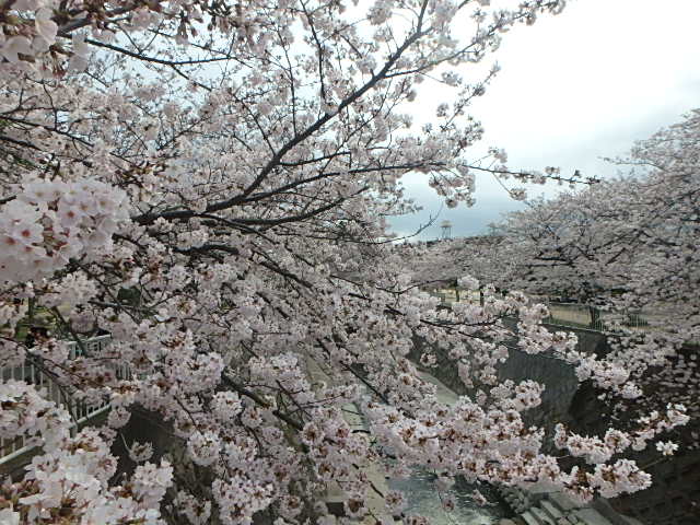 f0334143_2072968.jpg