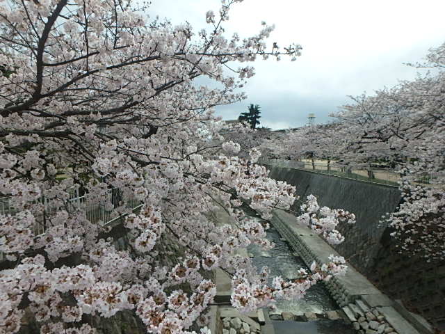 f0334143_207388.jpg