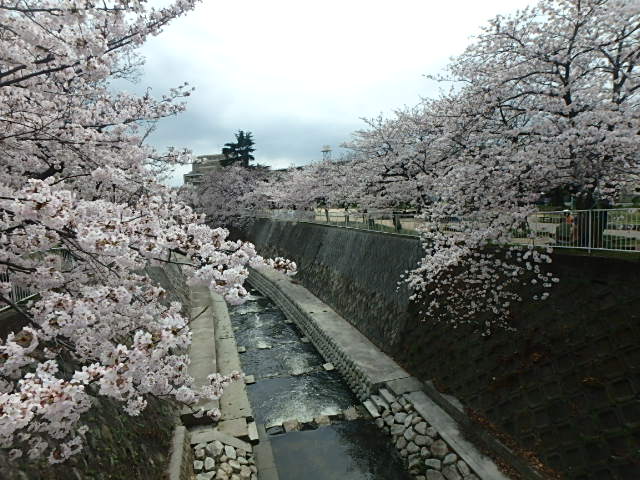 f0334143_2074627.jpg