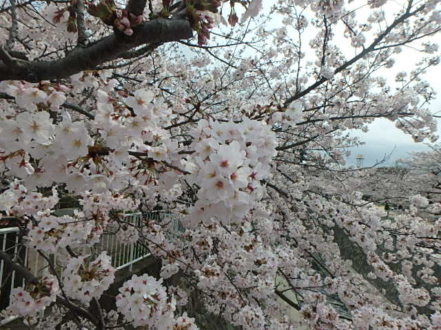f0334143_2075658.jpg