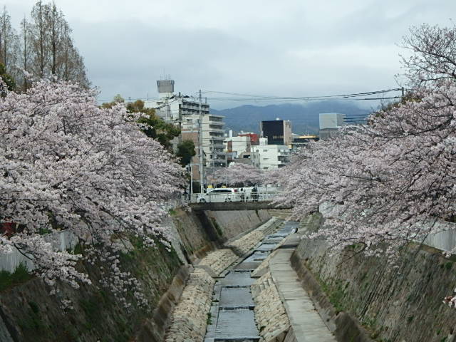 f0334143_2081392.jpg