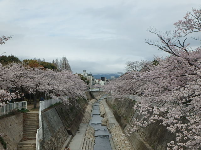 f0334143_2082183.jpg