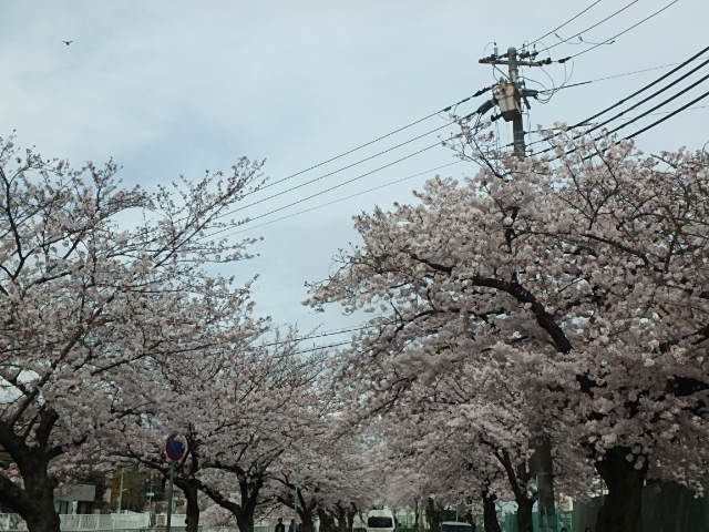 f0334143_2083076.jpg