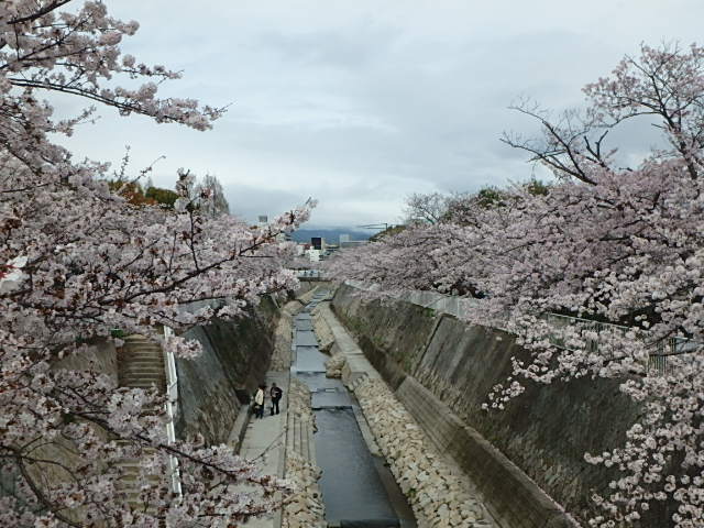 f0334143_208469.jpg