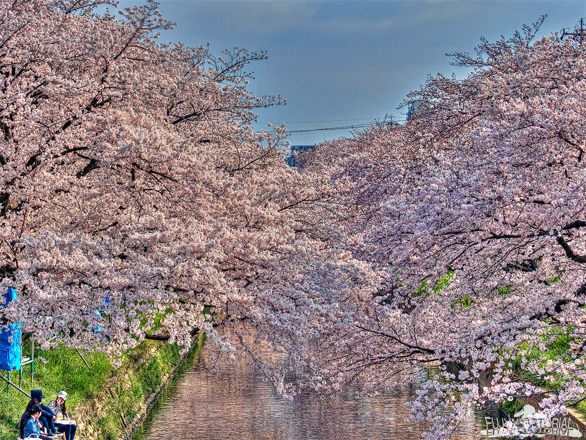 b0135347_22511813.jpg