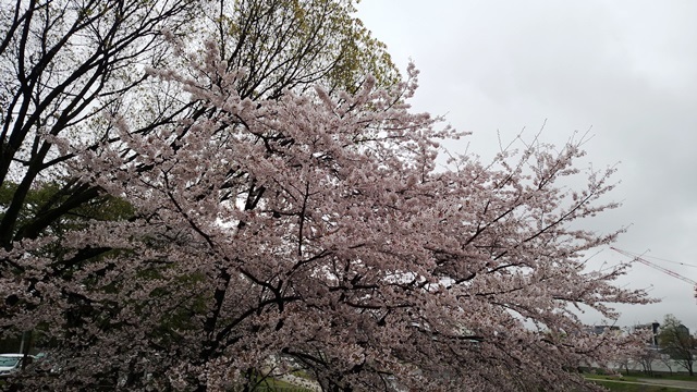 c0217551_21063980.jpg